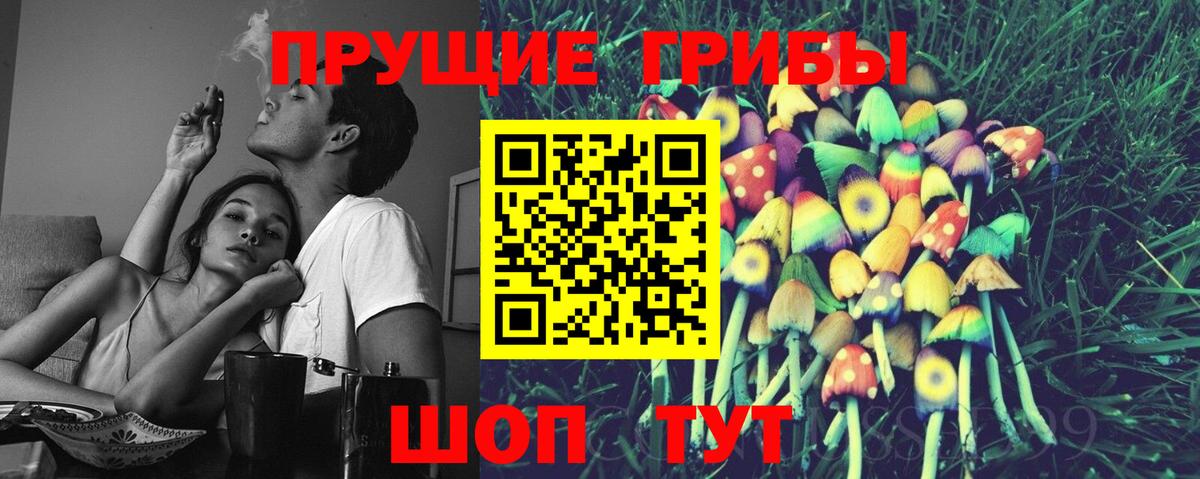Галлюциногенные грибы прущие грибы  Вход с VPN  Галлюциногенные грибы Cubensis  Вольск 
