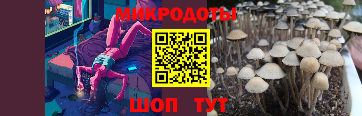 Галлюциногенные грибы прущие грибы Вольск